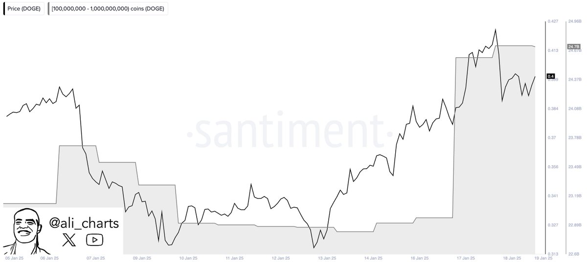 Dogecoin Whale Accumulation Fuels Optimism: Is 40X Possible? = The Bit Journal