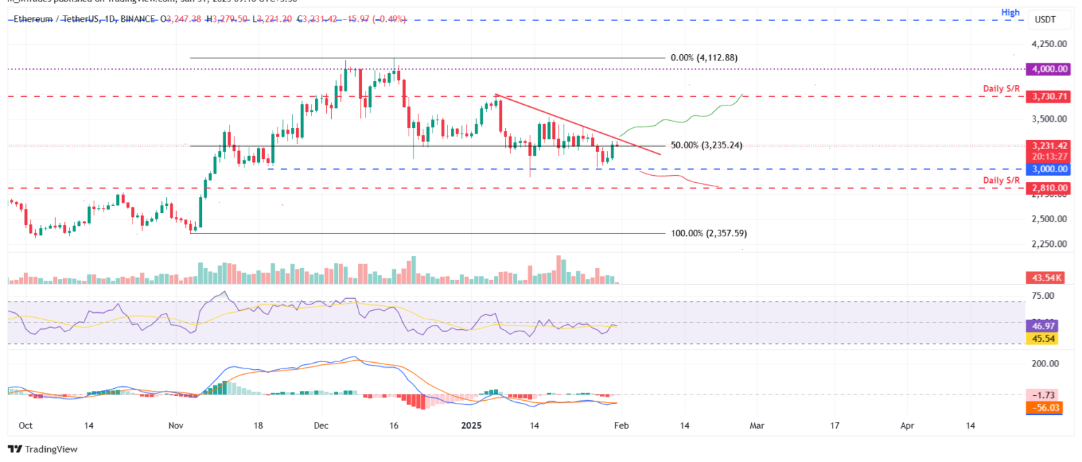 Warning: Bitcoin and These Two Altcoins Show Signs of Correction! = The Bit Journal