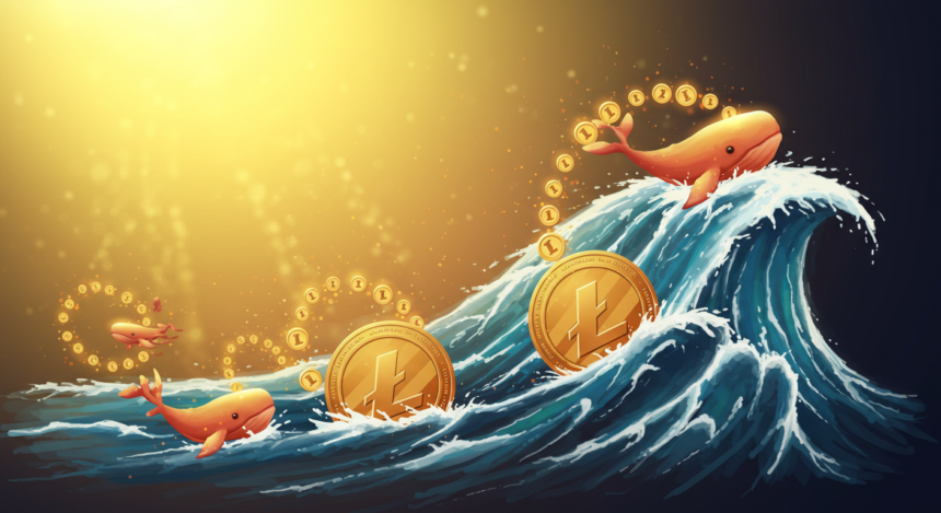 Litecoin Whales Propel $1.06B Volume Amid 10.75% Price Dip