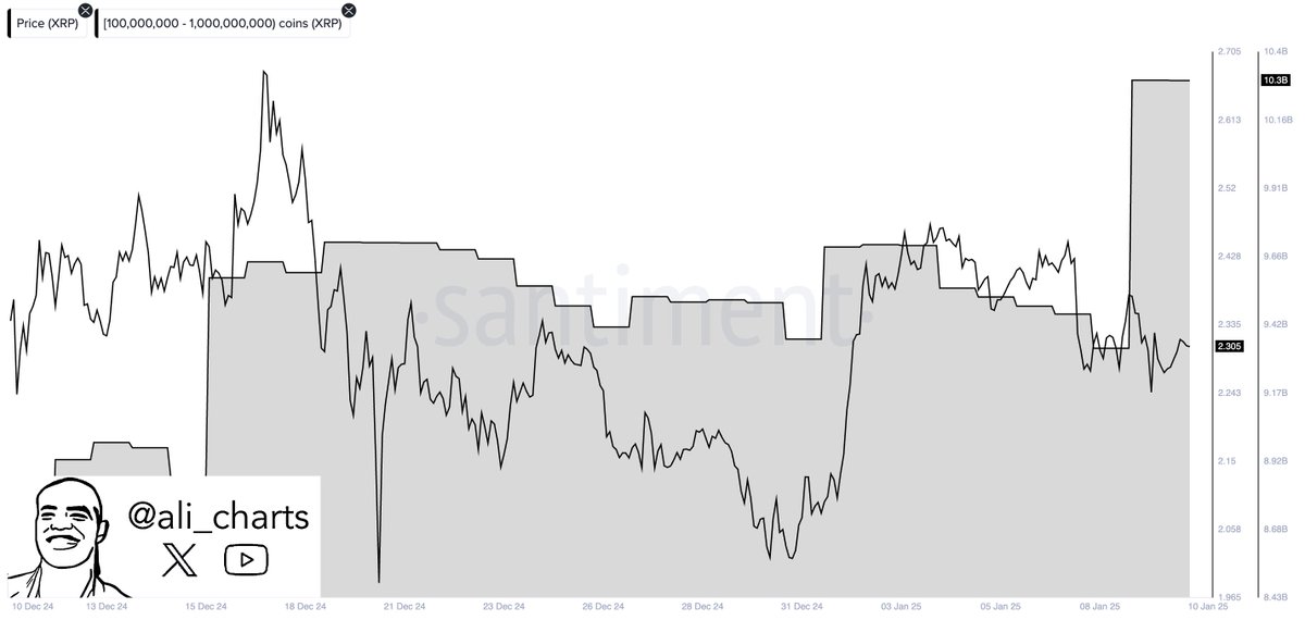 Whales Accumulate XRP and Dogecoin: A Massive $2.7 Billion Investment = The Bit Journal