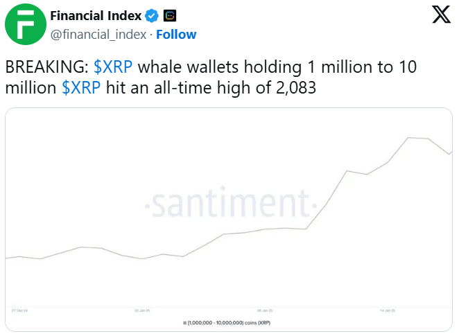 Whales Are Accumulating Cardano and XRP: What’s Next? = The Bit Journal