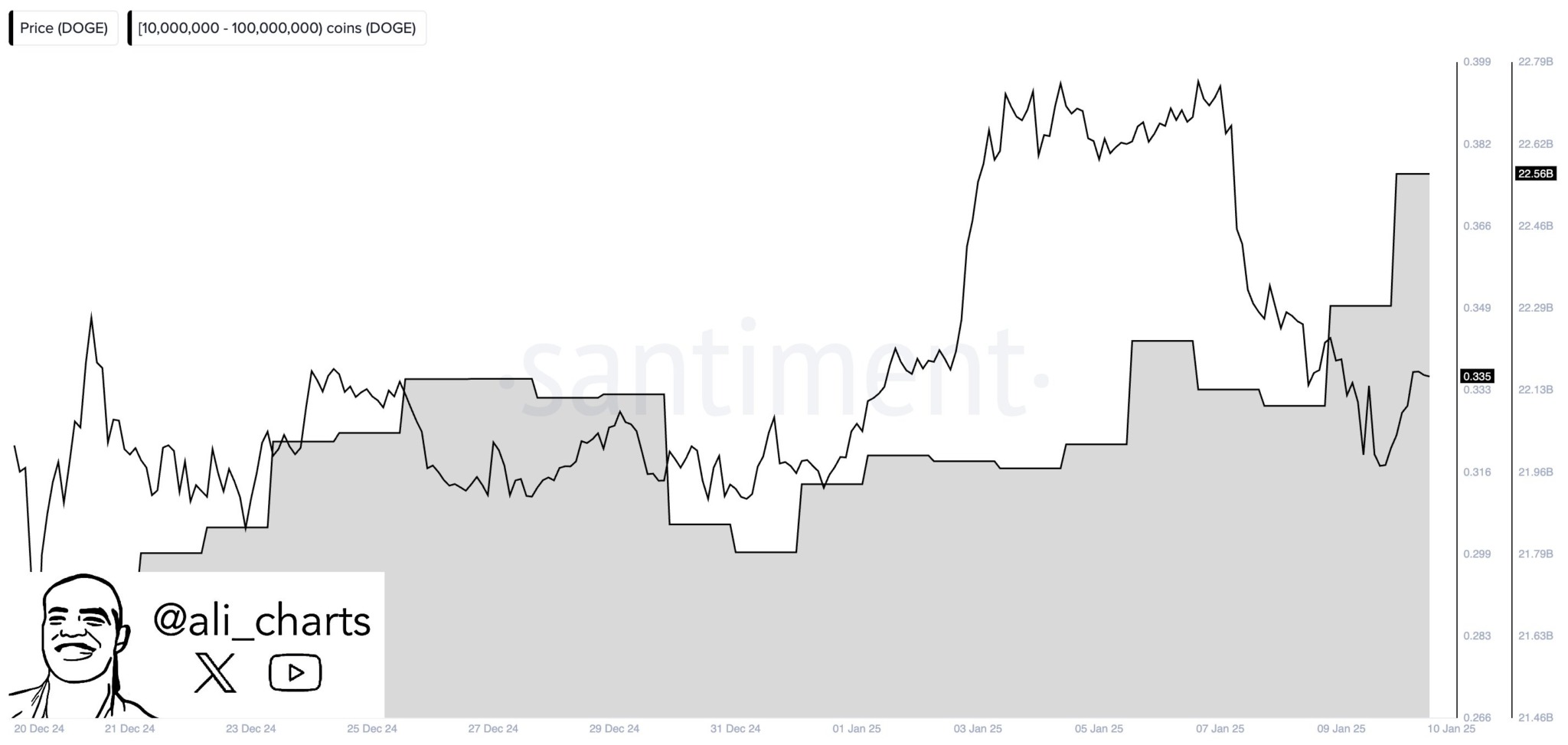 Whales Accumulate XRP and Dogecoin: A Massive $2.7 Billion Investment = The Bit Journal