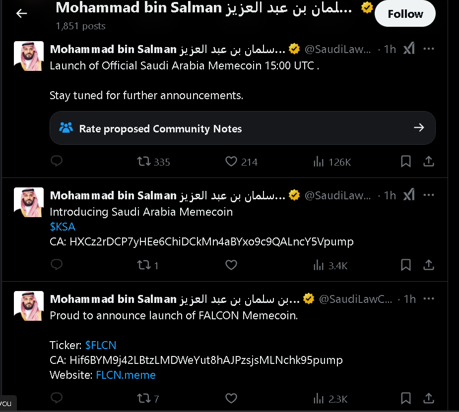 Saudi Crown Prince Impersonators Launch Fake KSA Memecoin 