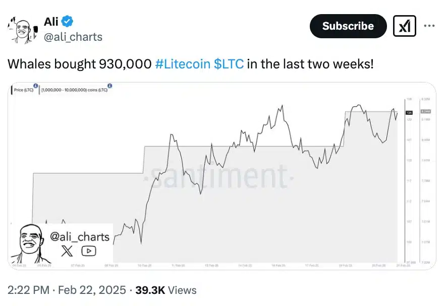 Litecoin Whales LTC