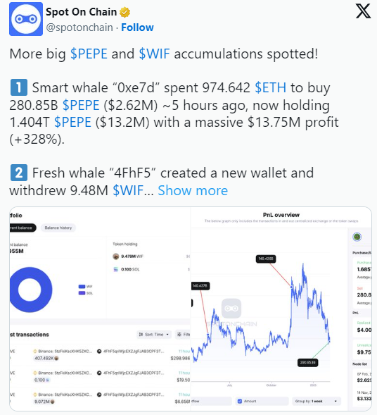 Crypto Whales Target These Two Meme Coins for Massive Gains! = The Bit Journal