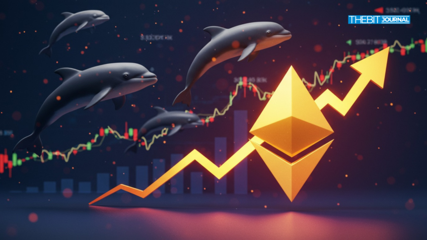 Ethereum Sees 88K Net Inflows as Whales Accumulate Despite Risks