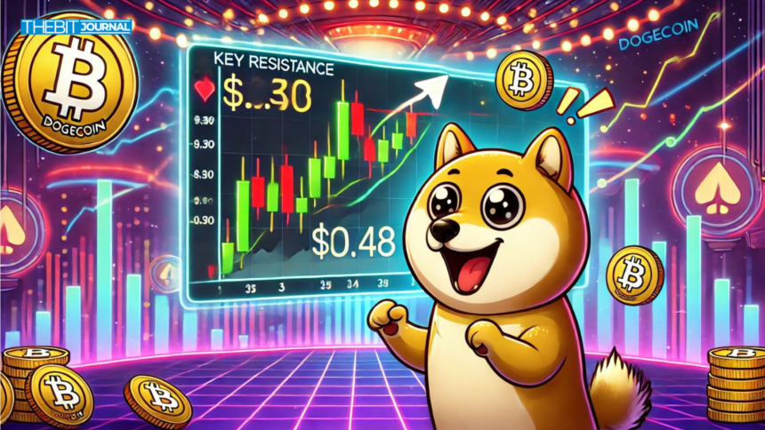 DOGE market