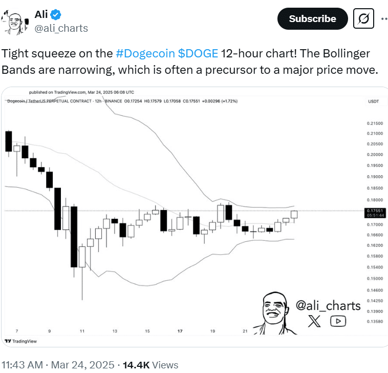 DOGE Analysis