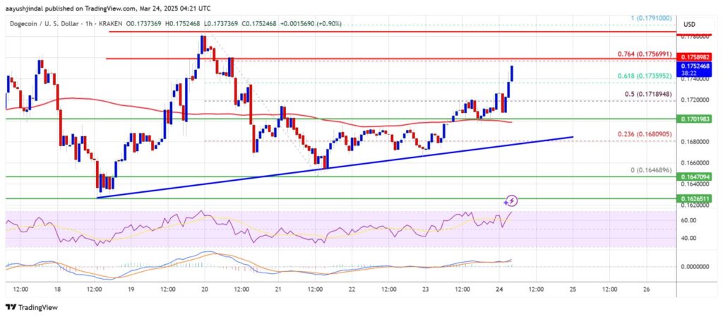 Dogecoin Price Analysis