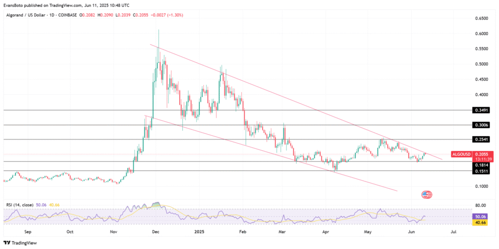 ALGO’s 66% Volume Spike Signals Something Big But Can It Break $0.25? 8 Algo Price Analysis