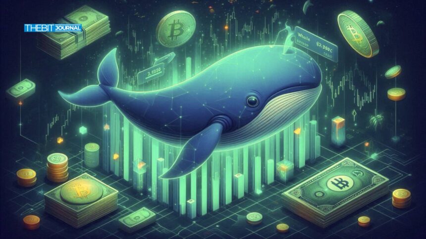 Whale Watch: BTC, ETH, SOL, DOGE Whale Transfers Rock June Market Momentum