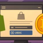 Shopify USDC payments