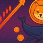 SHIB price today