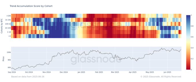 Massive $217M Crypto Liquidation Sweeps the Market: A Crypto Bloodbath? 10 Crypto market news today