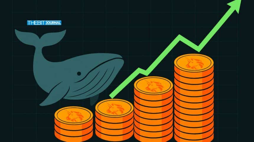 Uniswap Price Prediction Soars After 67% Whale Surge: $15 Next?