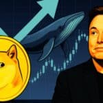 Dogecoin Price Today Explodes as Whales Accumulate, Musk Fuels the Fire