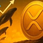 Ripple news