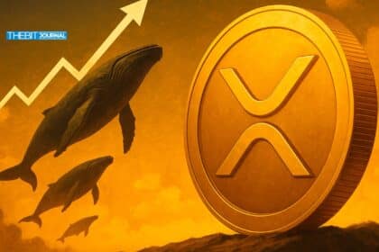 Ripple news