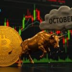 Bitcoin Bull Run Faces October Peak Risk as Whale Wallets Shrin