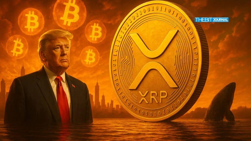 XRP price today