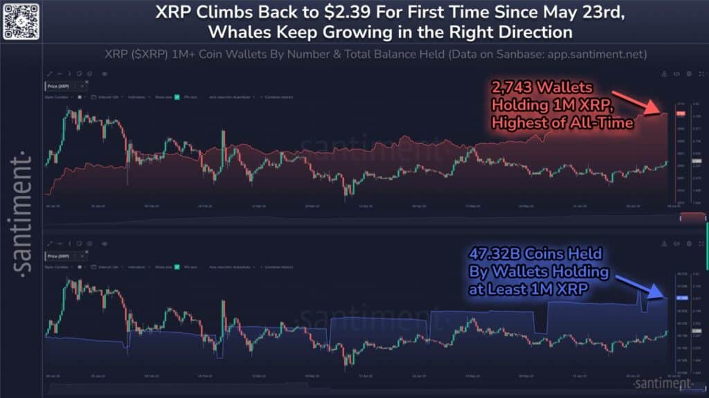 Whale Surge Pushes XRP to 7-Week High: Are We on the Brink of a Breakout? 9 Whale Surge Pushes XRP to 7-Week High: Are We on the Brink of a Breakout? = The Bit Journal