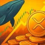 XRP Whale Accumulation