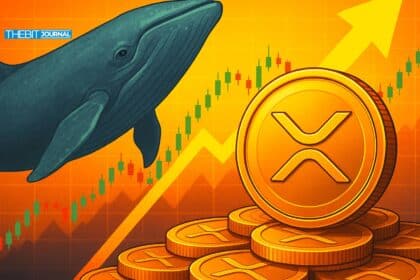 XRP Whale Accumulation