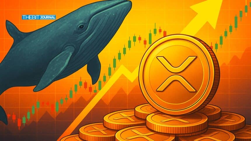 XRP Whale Accumulation