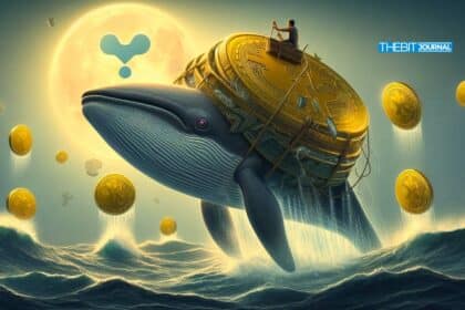 How 2.2B XRP Whales Accumulation Drove the July Rally