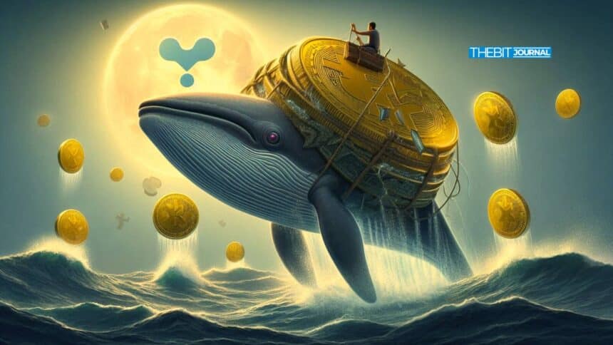 How 2.2B XRP Whales Accumulation Drove the July Rally