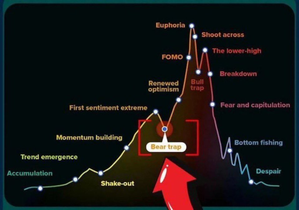 Crypto Crash