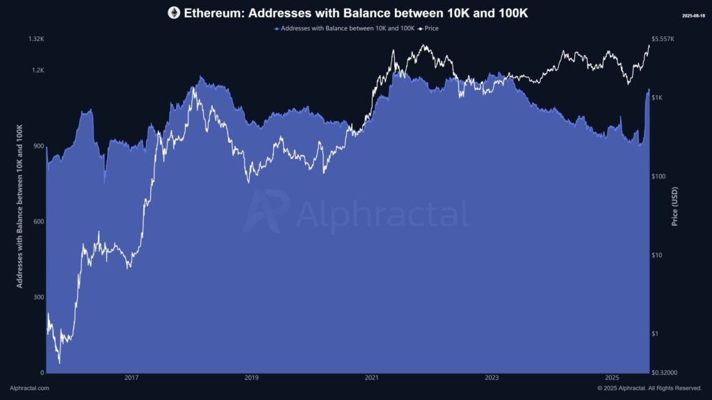 Ethereum on chain activity